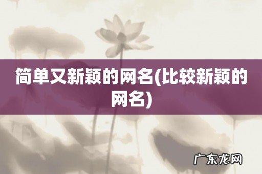 比较新颖的网名 简单又新颖的网名