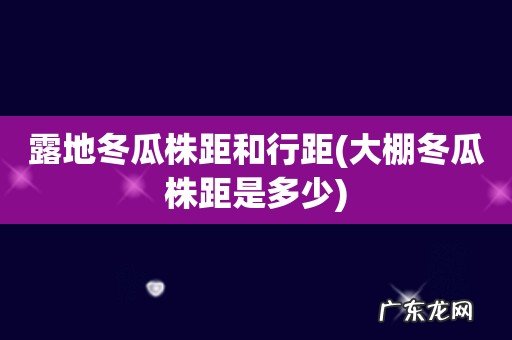 大棚冬瓜株距是多少 露地冬瓜株距和行距