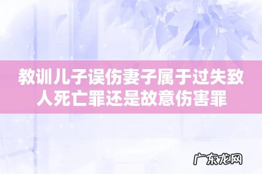 教训儿子误伤妻子属于过失致人死亡罪还是故意伤害罪