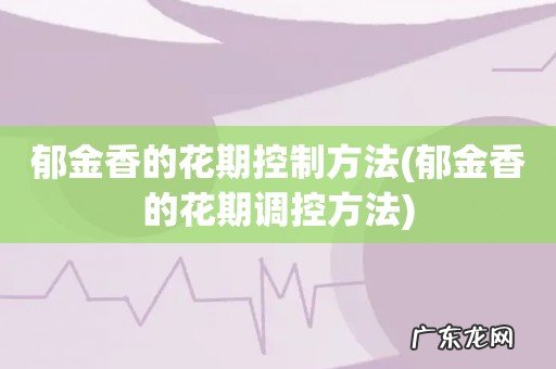 郁金香的花期调控方法 郁金香的花期控制方法