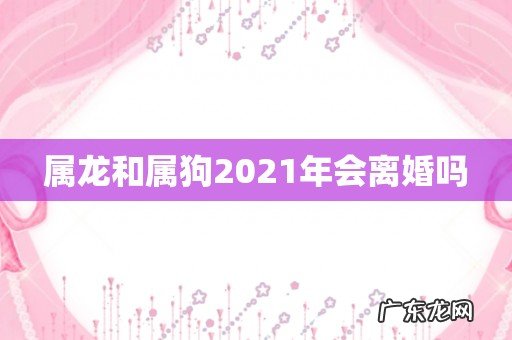 属龙和属狗2021年会离婚吗
