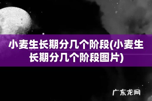 小麦生长期分几个阶段图片 小麦生长期分几个阶段