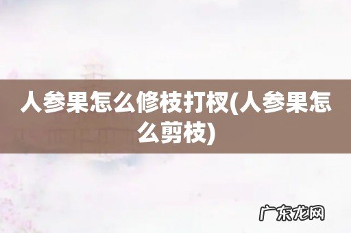 人参果怎么剪枝 人参果怎么修枝打杈