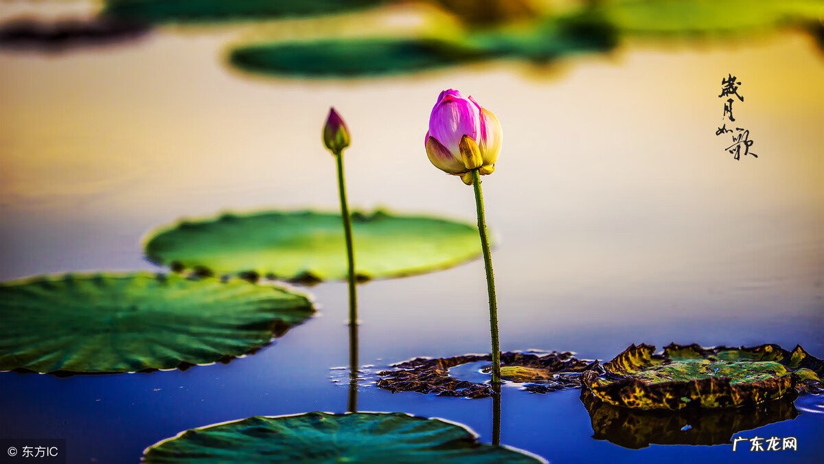 祝兄弟儿子满月的祝福语 祝孩子满月的祝贺词