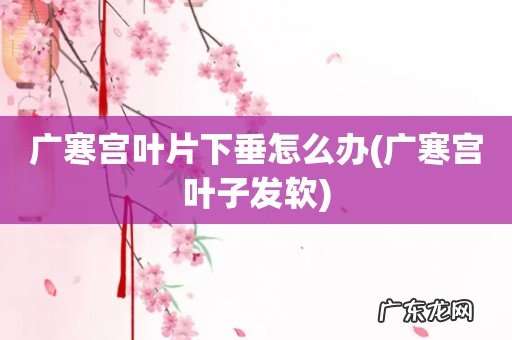 广寒宫叶子发软 广寒宫叶片下垂怎么办