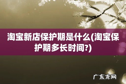 淘宝保护期多长时间? 淘宝新店保护期是什么