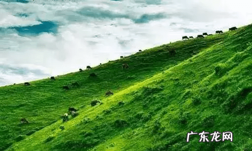 赖布衣广东风水留题地全册 赖布衣赣南风水留题