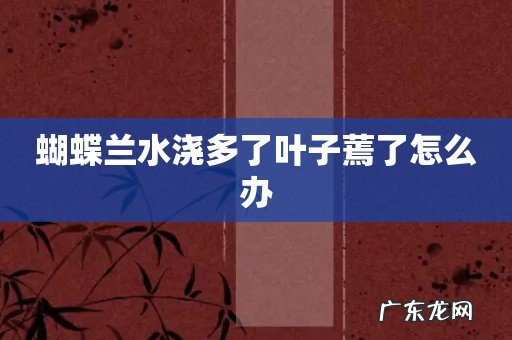 蝴蝶兰水浇多了叶子蔫了怎么办