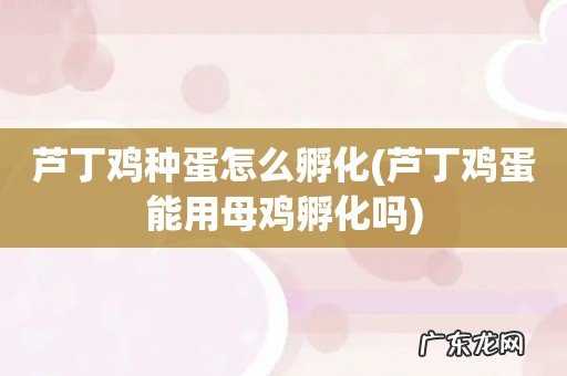 芦丁鸡蛋能用母鸡孵化吗 芦丁鸡种蛋怎么孵化