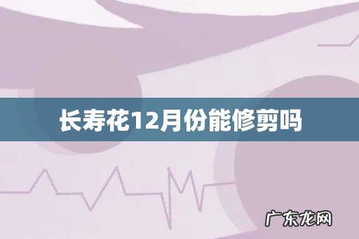 长寿花12月份能修剪吗