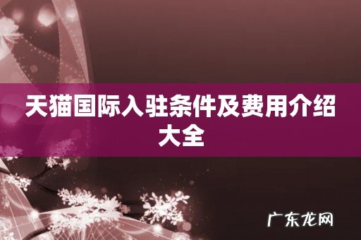 天猫国际入驻条件及费用介绍大全