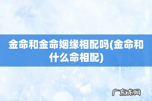 金命和什么命相配 金命和金命姻缘相配吗