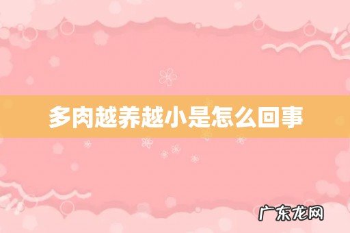 多肉越养越小是怎么回事