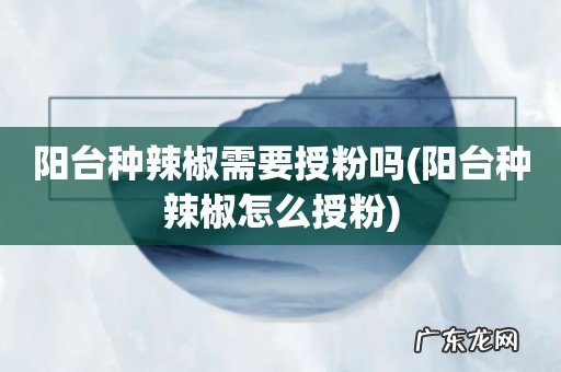 阳台种辣椒怎么授粉 阳台种辣椒需要授粉吗