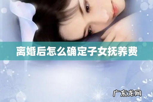 离婚后怎么确定子女抚养费