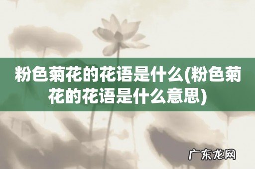 粉色菊花的花语是什么意思 粉色菊花的花语是什么