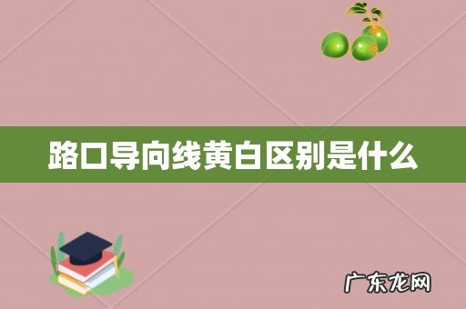 路口导向线黄白区别是什么