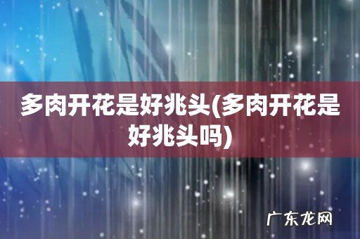 多肉开花是好兆头吗 多肉开花是好兆头