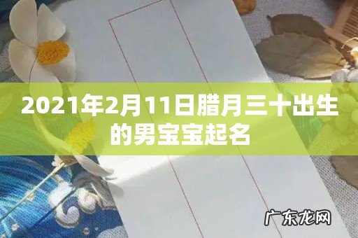 2021年2月11日腊月三十出生的男宝宝起名