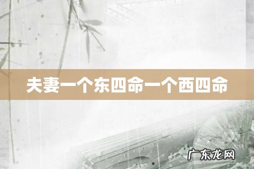 夫妻一个东四命一个西四命