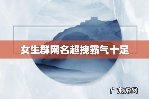 女生群网名超拽霸气十足