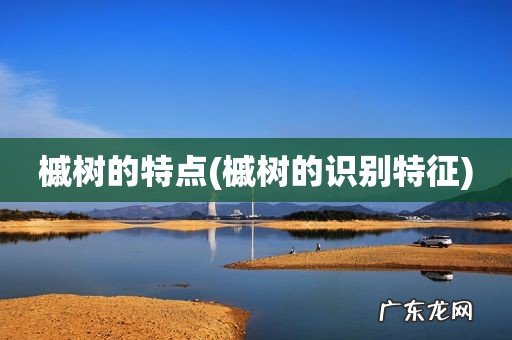 槭树的识别特征 槭树的特点