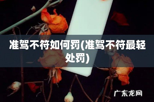 准驾不符最轻处罚 准驾不符如何罚