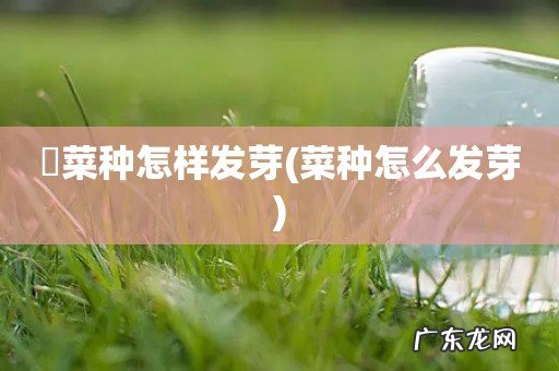菜种怎么发芽 韮菜种怎样发芽