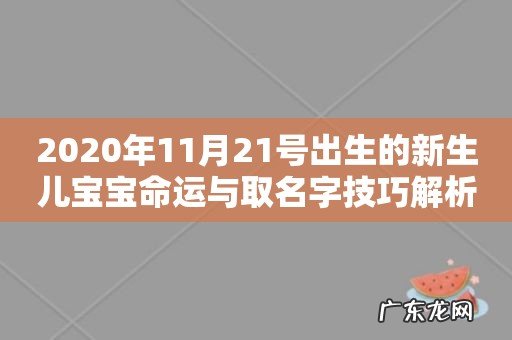 2020年11月21号出生的新生儿宝宝命运与取名字技巧解析