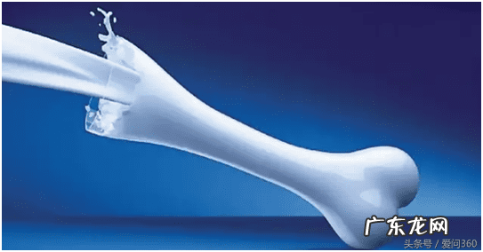 中老年补钙产品排行榜 中老年补钙产品有哪些