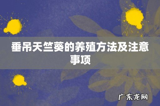 垂吊天竺葵的养殖方法及注意事项