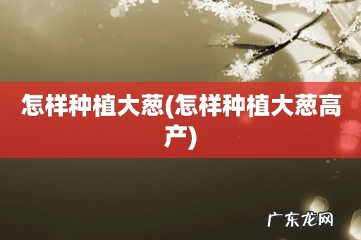 怎样种植大葱高产 怎样种植大葱