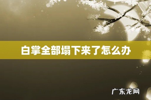 白掌全部塌下来了怎么办