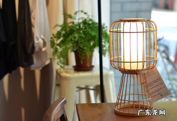 水竹的最佳摆放位置 摆件竹子摆放位置