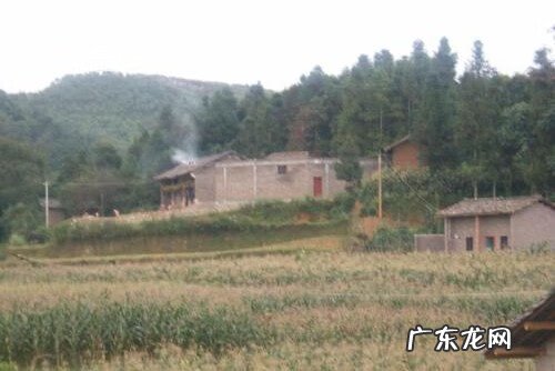 阳宅子孙位在什么方位 风水中的子孙位置放什么最好