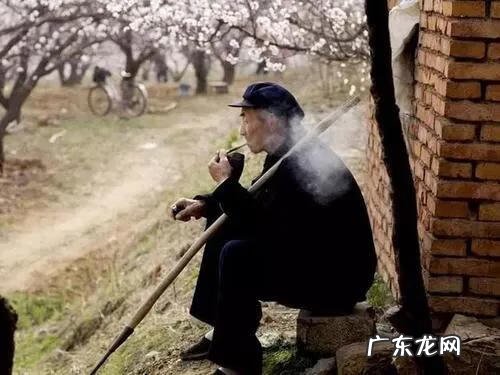 阳宅子孙位在什么方位 风水中的子孙位置放什么最好