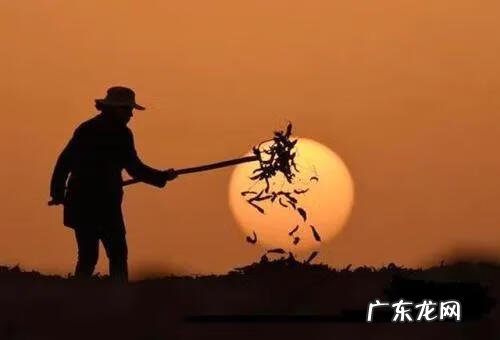 阳宅子孙位在什么方位 风水中的子孙位置放什么最好