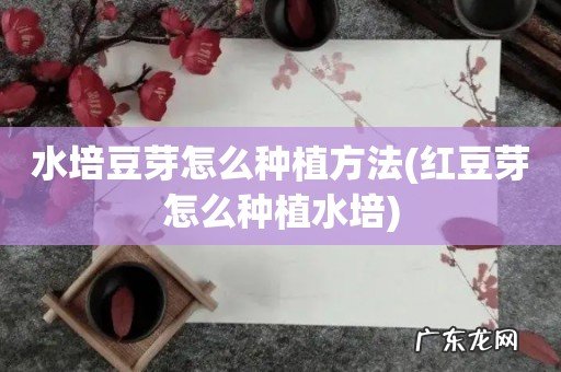 红豆芽怎么种植水培 水培豆芽怎么种植方法