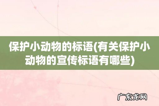 有关保护小动物的宣传标语有哪些 保护小动物的标语