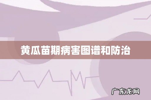 黄瓜苗期病害图谱和防治