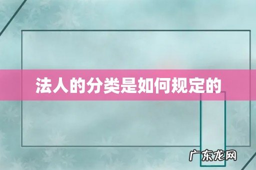 法人的分类是如何规定的