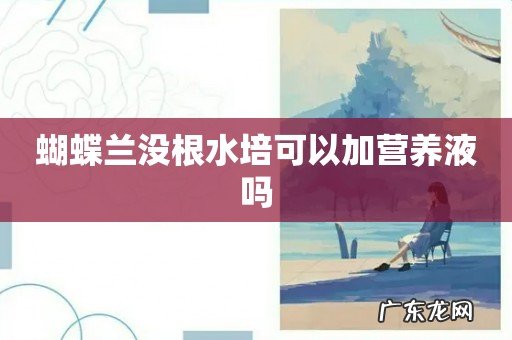 蝴蝶兰没根水培可以加营养液吗