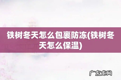 铁树冬天怎么保温 铁树冬天怎么包裹防冻