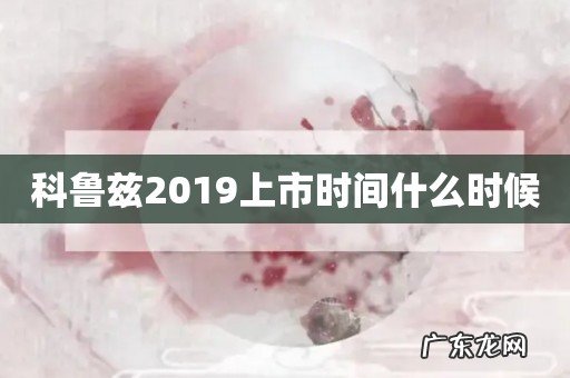 科鲁兹2019上市时间什么时候