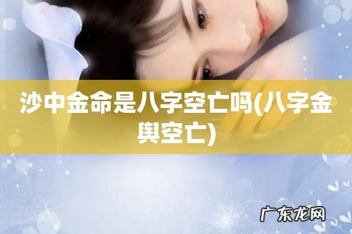八字金舆空亡 沙中金命是八字空亡吗