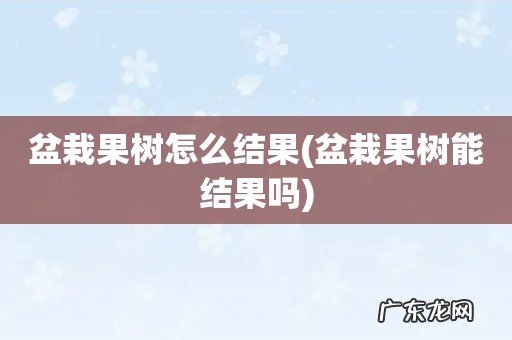 盆栽果树能结果吗 盆栽果树怎么结果