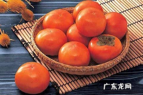 长期吃柿子有什么好处 吃柿子的好处和功效与作用