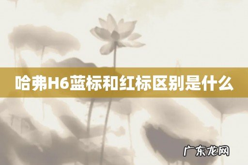 哈弗H6蓝标和红标区别是什么