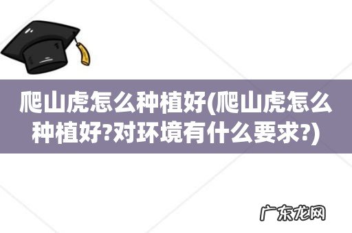 爬山虎怎么种植好?对环境有什么要求? 爬山虎怎么种植好