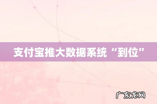支付宝推大数据系统“到位”